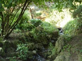 DSC08250.JPG